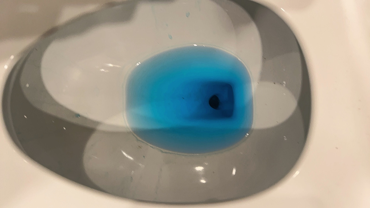 Customer photo of blue toilet cleaning water
