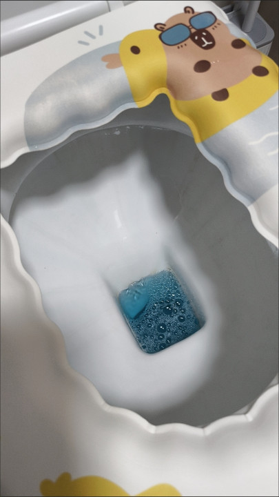 Customer photo showing toilet cleaner tablet in use