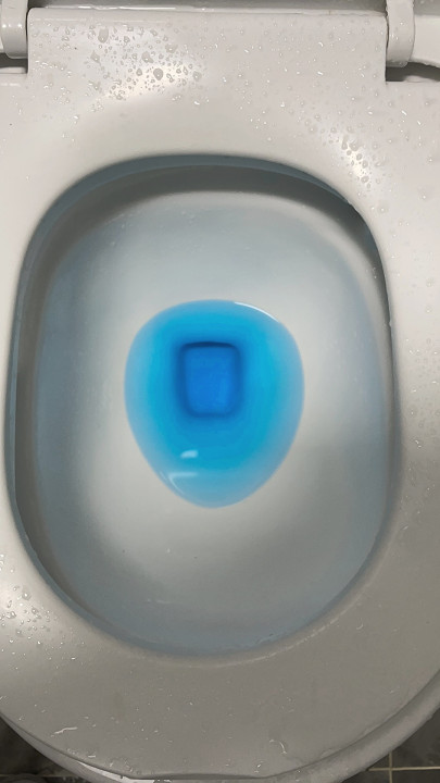 Customer photo showing blue toilet cleaner tablet
