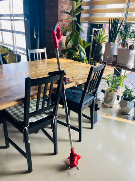 Foto de cliente Novari