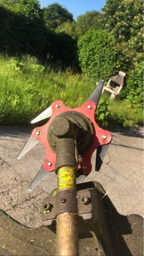 Foto de cliente Novari