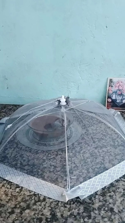 Foto de cliente Novari