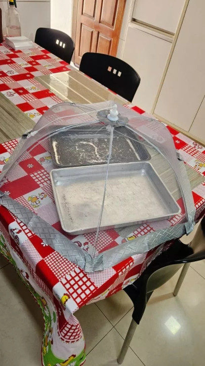 Foto de cliente Novari
