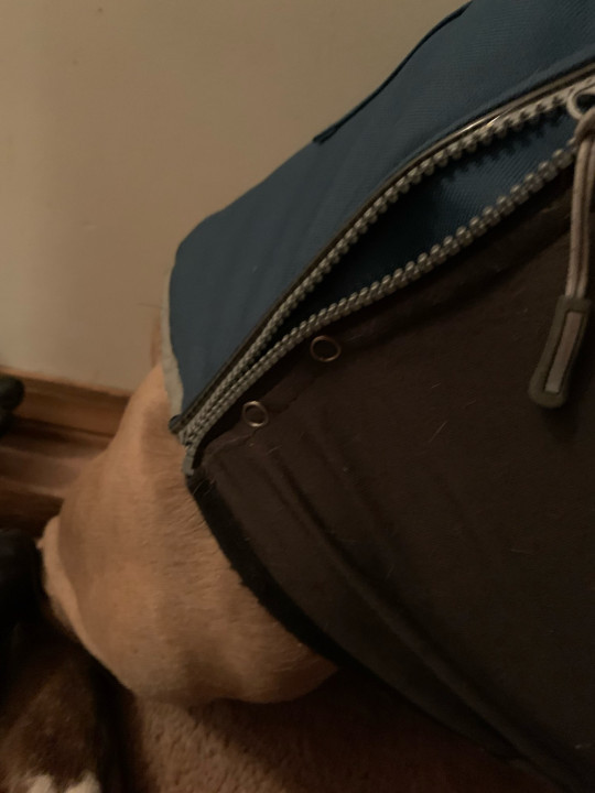 Foto de cliente Novari