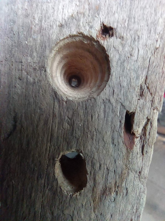 Foto de cliente Novari