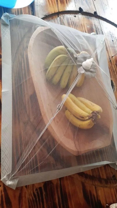 Foto de cliente Novari