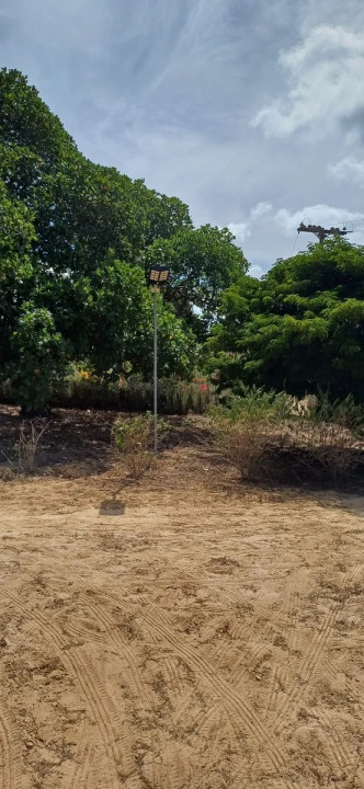 Foto de cliente Novari