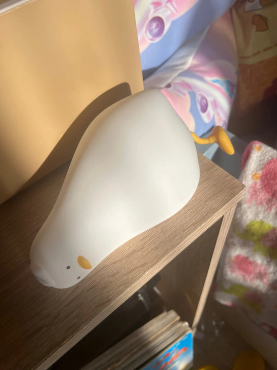 Foto de cliente Novari