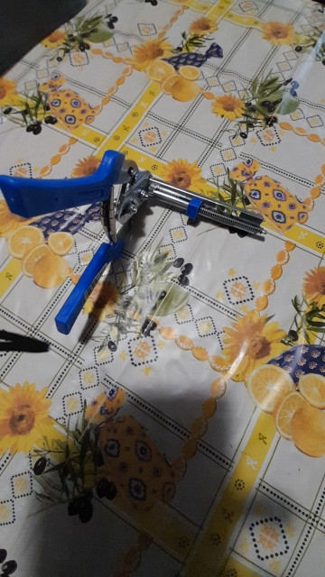Foto de cliente Novari