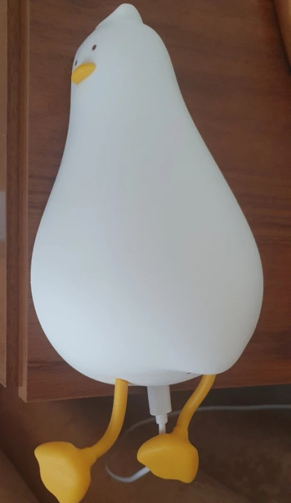 Foto de cliente Novari