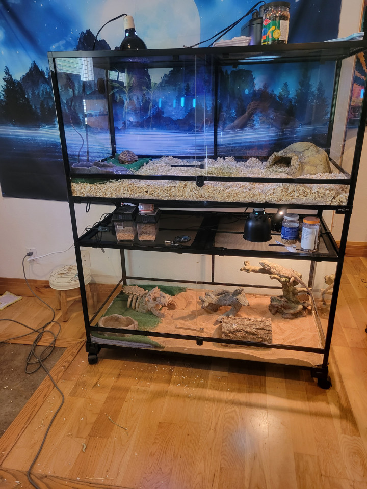 REPTI ZOO Stackable Reptile Terrarium  (2 tanks stacked)