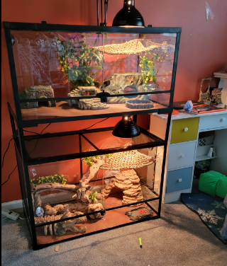 REPTI ZOO Stackable Reptile Terrarium  (2 tanks stacked)